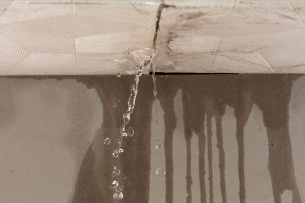 Professional Flood Damage Cleanup technician working in Upper Black Eddy, PA